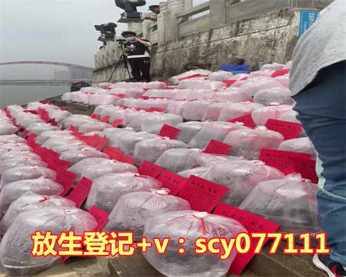 中秋节等传统节日进行放生。此外，也有人认为在农历正月十五放生，可以为一