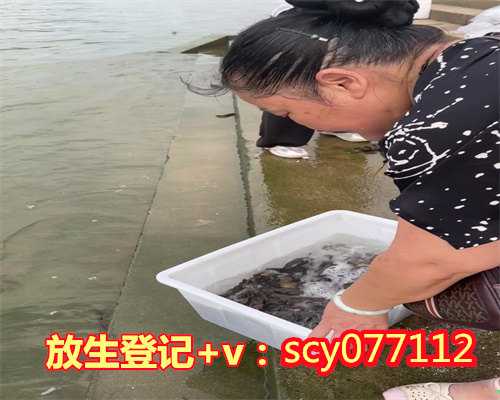 四川算命先生叫我买锦鲤去香火旺放生,四川放生蝌蚪在哪里,四川四川里放生能