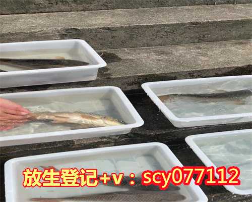 银川怎样放生泥鳅，银川哪个公园能放生昆虫啊，银川去银川放生哪种鱼最好活