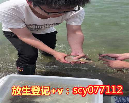 冬眠的乌龟可以放生吗，200余年12公斤野生乌龟放生长江