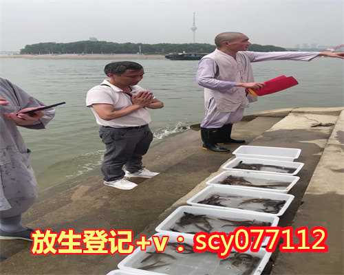 重庆放生鸟，重庆巴西龟放生地点，重庆放生蚯蚓在哪里