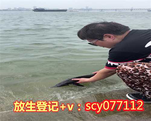 海南冬天能放生田鸡吗,海南放生园放生淡水鱼,海南河里能不能放生红鲤鱼