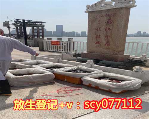 香港一般放几条，香港哪里放生虾比较好，香港经常放生田螺的好处