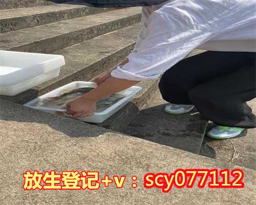 福建放生大王安笑明(福建去哪放生)