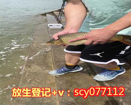 放生泥鳅时间石家庄,石家庄公园可以放生蛇吗【石家庄草龟放生的地方在哪】