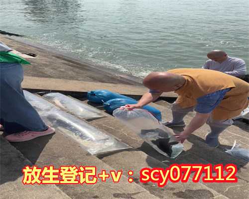 南昌放生放什么好,南昌哪里能放生小鱼,南昌野生泥鳅放生容易活吗