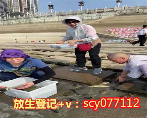 四川为上师生日放生,四川公园放生野生甲鱼,四川放生麂子的福报