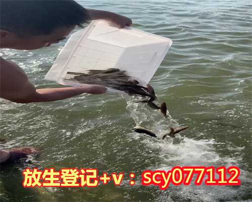 如何放生鱼籽最理想河南,河南放生松鼠在哪里【河南哪里有可以放生的地方】