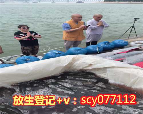 河北哪里可以放生乌龟河北,河北哪里放生鲫鱼最好【放生甲鱼能活吗】