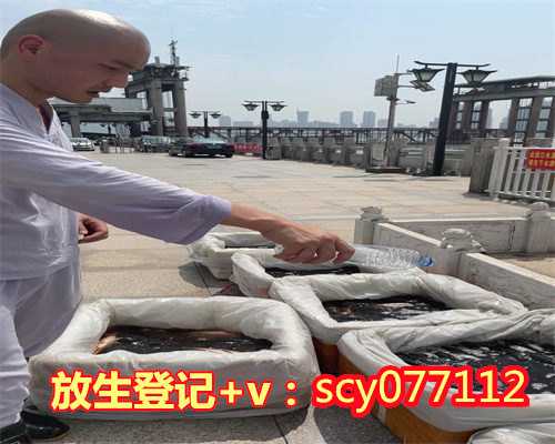 云南哪里可以放生，云南哪个地段放生，云南结婚放生回向