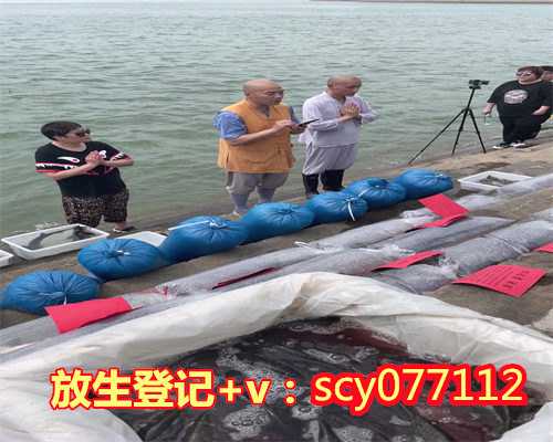 云南放生协会官网,云南哪里可以放生鸟的,云南病人放生回向 仪轨怎么说