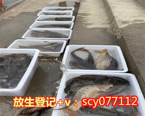 放生河虾就不能吃了吗视频，放生会被抓就不需放了吗太多了放不完就不需放了