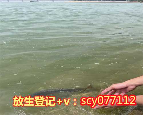 刺猬什么时候放生，深夜在路边捡到刺猬小伙报警后放生