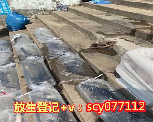 2023年1月3日适合放生吗，2023年3月生子黄道吉日一览表