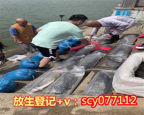 杭州哪里放生鳝鱼最好