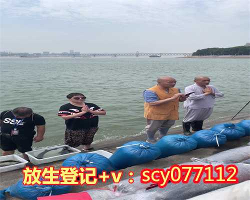 海口护城河可以放生什么鱼(海口放生鲫鱼真能长寿吗)