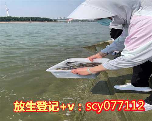 山东放生10万条生命,山东放生100万条蚯蚓什么意思,山东最简单最有效的放生回