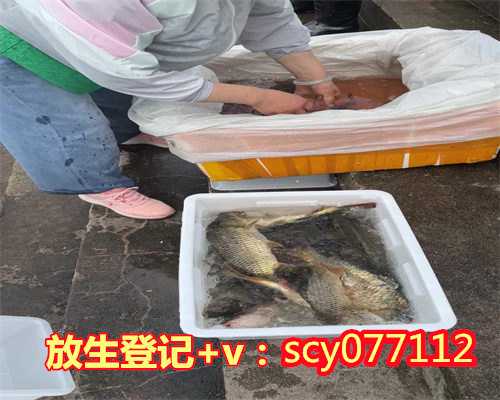 中国的放生节是什么时候,什么时候感恩节是什么时候