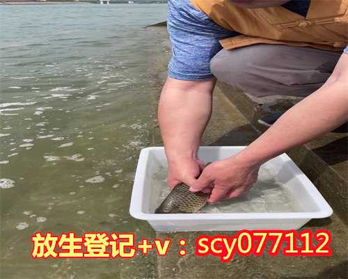 三亚哪里放生动物最好，海南三亚一爱心市民花千元买下大山龟放生