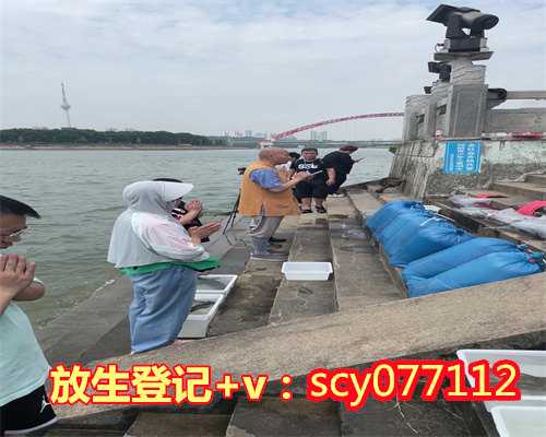 2023年什么时间放生鱼好呢，放生究竟有什么好处-