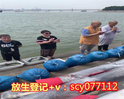 乌龟要怎么放生比较好,放生乌龟口无遮拦,不想遭了报应,那该怎么放生