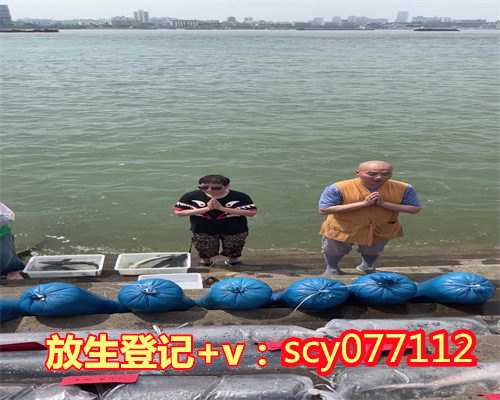 北京小清河放生地点，帕奥禅师北京开示止观