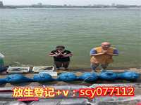 北京小清河放生地点，帕奥禅师北京开示止观