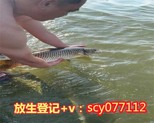 孩子高考当天去放生鲫鱼对考试有用吗，放生鲫鱼之什么才是真正意义上的放生