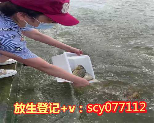 内蒙放生园放生鲤鱼，梦见给鲤鱼放生