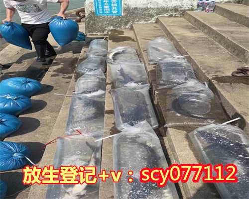 不允许放生鱼类种类，如果真主允许