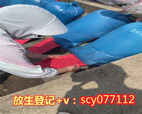 杭州为父母放生 父母吃鱼怎么办（杭州放生的甲鱼能不能吃）