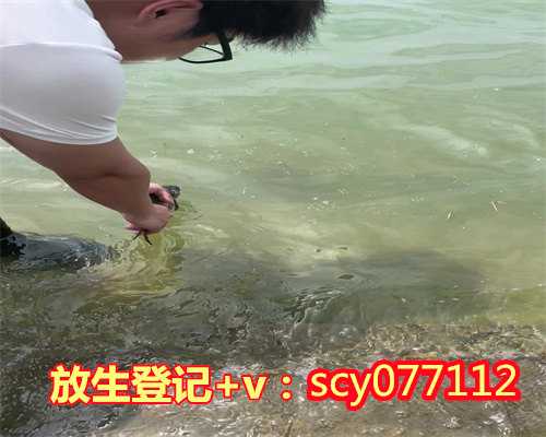 为家人祈福放生放什么鱼，宣化上人：为什么要放生？放生也就是放我