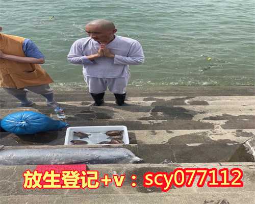 莆田公园放生会怎么样（莆田冬天放生什么鱼能活吗）