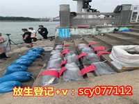 别人代放生有功德吗，放生十大功德