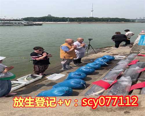 乌龟放生没有水会死吗,放生功德的亲身感受:乌龟回头