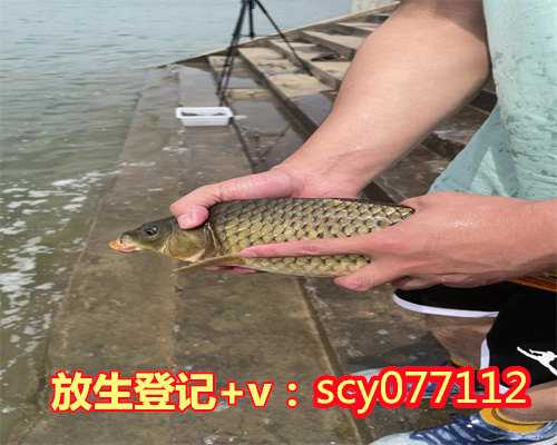 放生能改变婚姻吗,婚姻网有免费的吗?