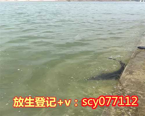 宁波放生治好了我的精神疾病,宁波哪里可以放生蜈蚣,宁波九龙道长放生回向文