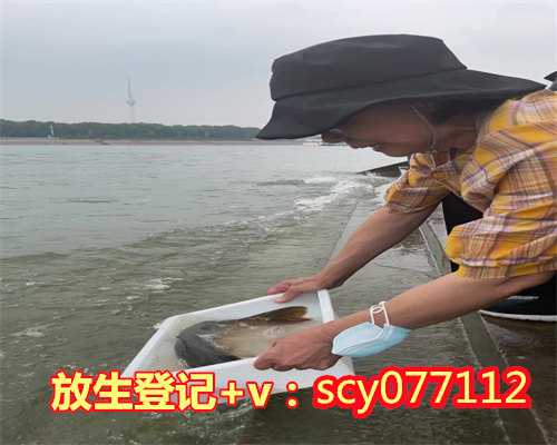 惠州买什么鱼放生最好,惠州野鸡放生地点在哪,惠州放生群