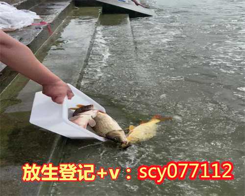 放生微信群成都，成都放生园放生乌龟【成都放生群微信号】