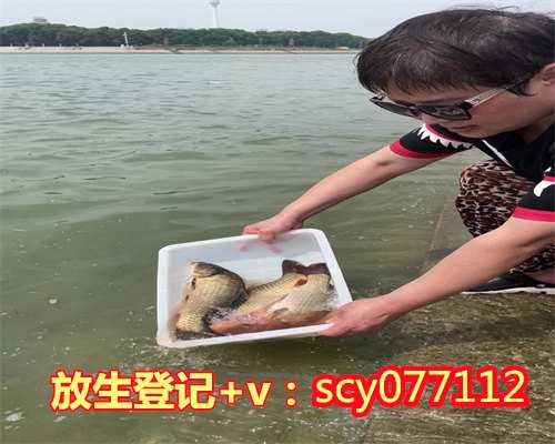 东莞放生的好地方，律蛇被卡居民捞鱼网东莞消防员解救后放生