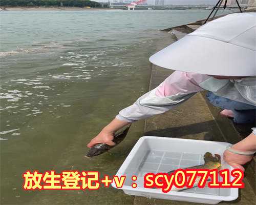 2024年什么时候能放生，第009集什么时候该放下