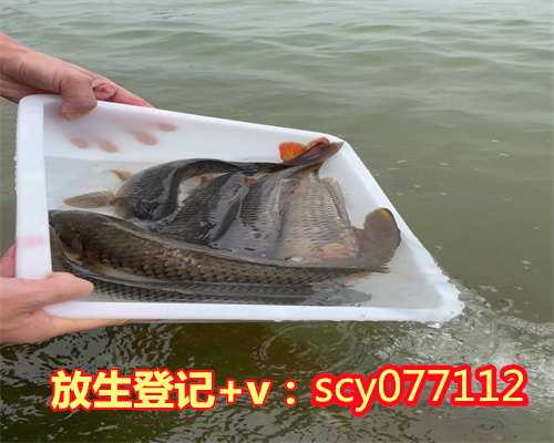 为家人放生怎么回向家人，一人放生，全家免灾