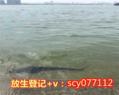 河南放生院，河南松鼠去哪里放生，河南刺猬去哪里放生