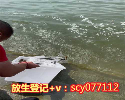 怎样放生回向有病的人，念观音心咒怎样发愿、怎样回向