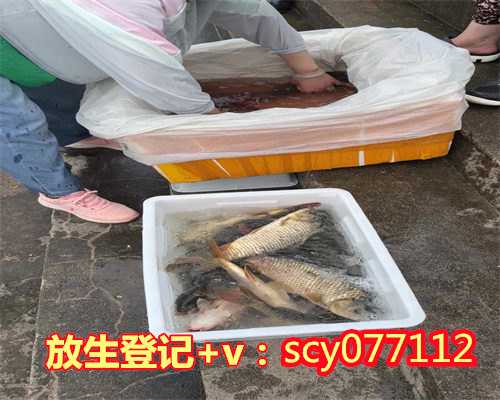 放生财神南宁,南宁哪里适合放生鸽子【南宁放生鱼类哪里好】