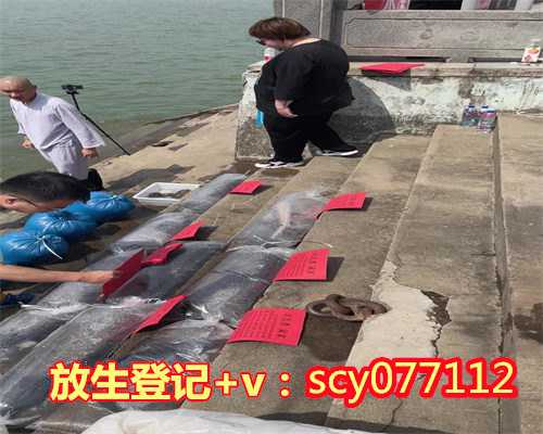 买鱼放生什么时间最好，鲤鱼什么时间放生好？