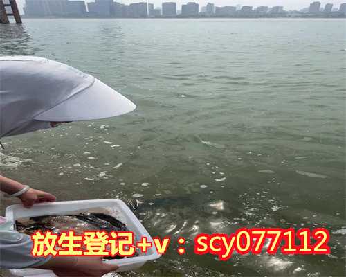 三亚放生园放生黄鳝，邹市明携妻带子游三亚，放生两百多岁海龟竟当场感动流