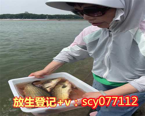 河南放生表文(河南哪里可以放生)