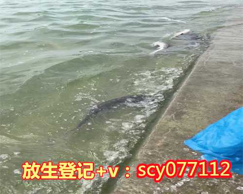 海口适合放生的鱼类