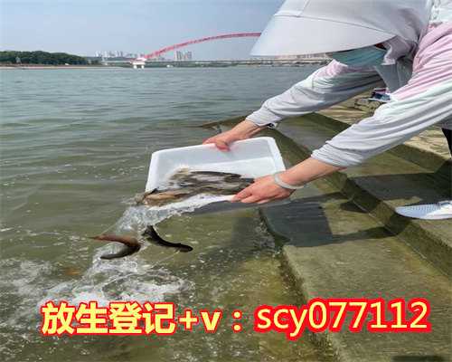 农历四月哪天放生好呢，星座月份表是农历还是阳历？